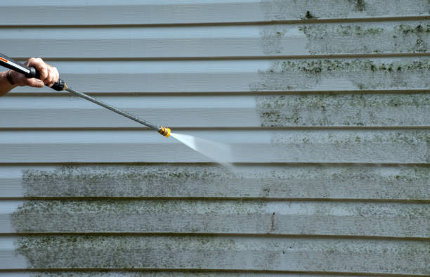 Animal Enclosure Cleaning in Denmark, WI